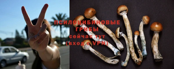 эйфоретик Арсеньев