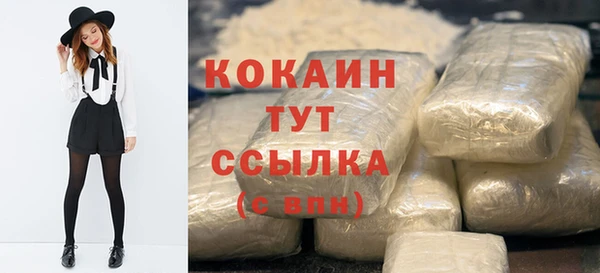 эйфоретик Арсеньев