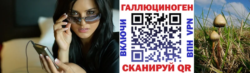 Псилоцибиновые грибы MAGIC MUSHROOMS  магазин  наркотиков  Сурск 